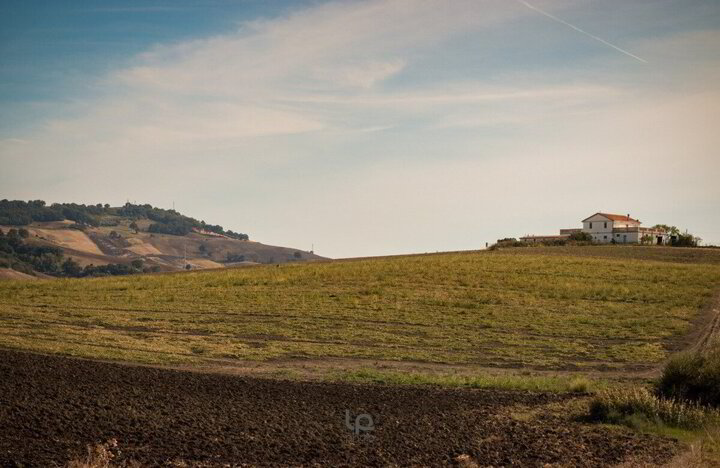 Dalla Fattoria Di Vaira all'AgriFestival NaturaSì 5